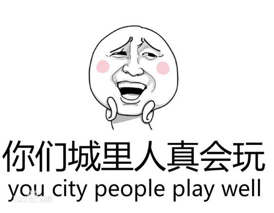 2015年十大網絡用語