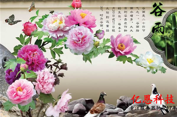 �|���Ƽ���ע�������й�17��