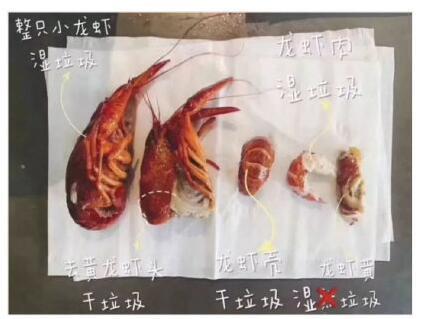 垃圾桶賣斷貨被限購(gòu) 萬(wàn)萬(wàn)沒想到垃圾桶也有賣斷貨的時(shí)候