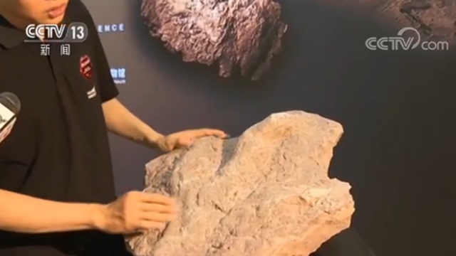 亞洲現霸王龍足跡化石 亞洲霸王龍足跡怎么發現的