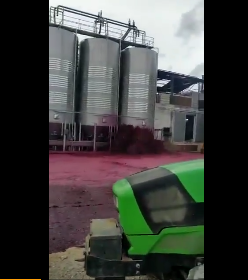 西班牙小鎮5萬升紅酒桶破裂